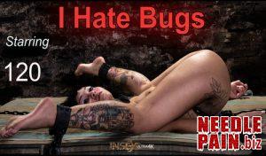 I Hate Bugs – 120 – Renderfiend 2019-02-28, insex, bdsm, torture